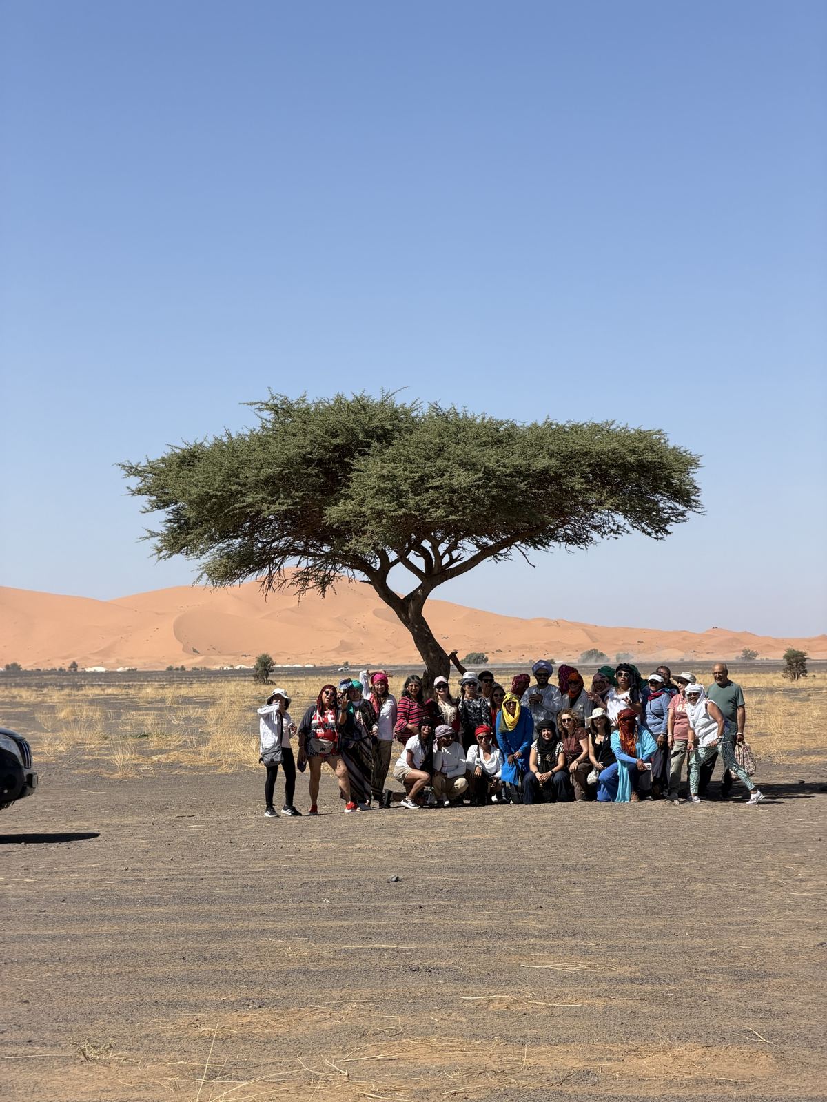 Viajeros bajo una acacia frente a las dunas de Erg Chebbi